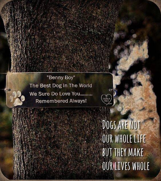 Memorial Tree Hugger.